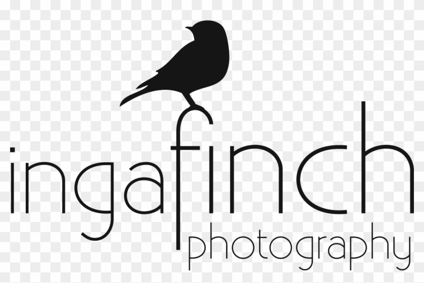 Atlanta & Tallahassee Wedding And Portrait Photographer - Fish Crow Clipart