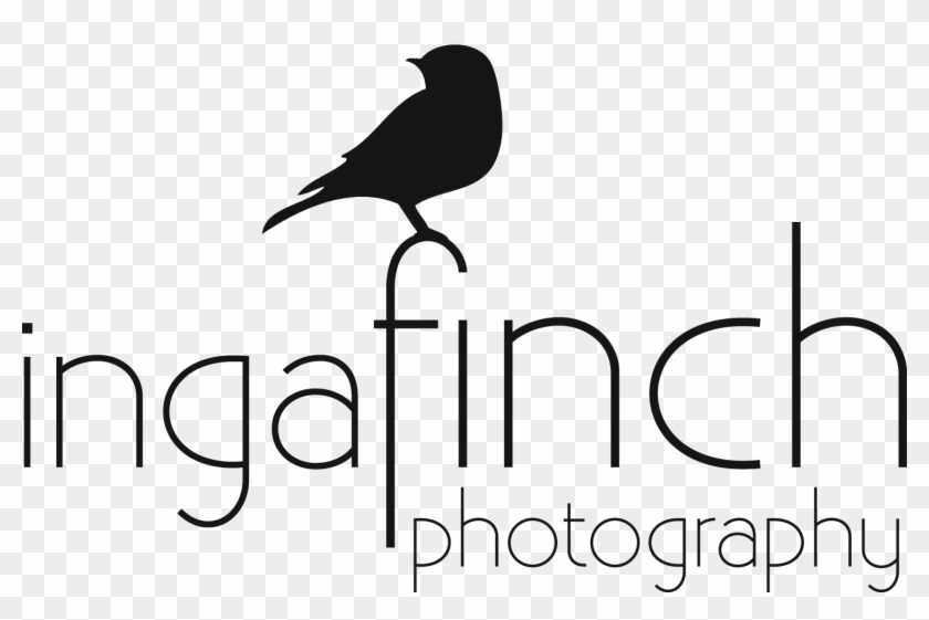 Atlanta & Tallahassee Wedding And Portrait Photographer - Fish Crow Clipart #4037445