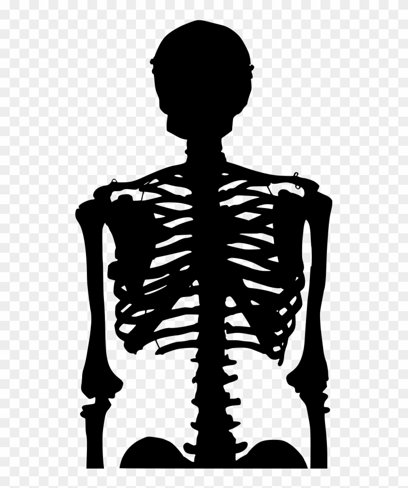 Download Png - Illustration Clipart #4037544