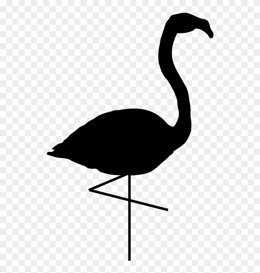 Black And White Flamingo Silhouette Standing On One - Black Swan Clipart