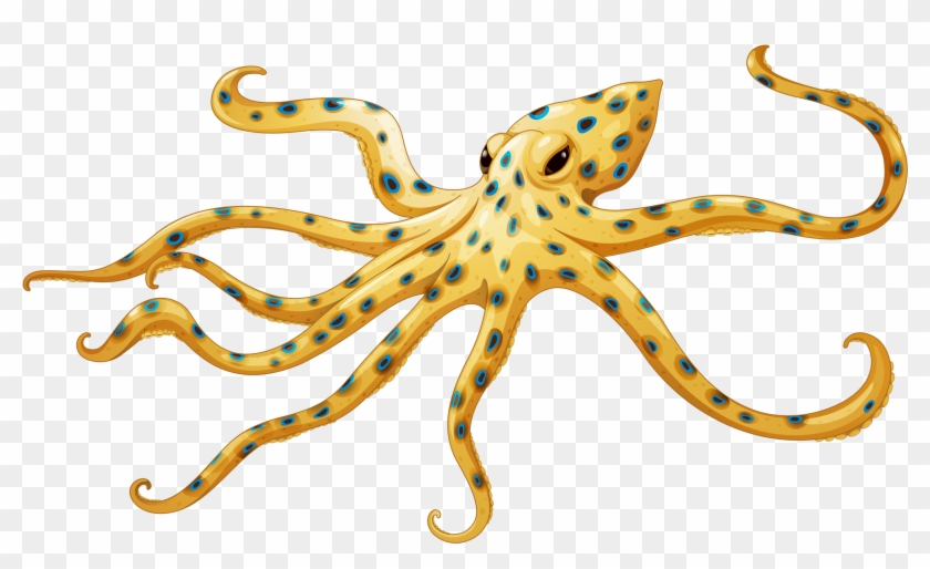 Фотки Søstjerne, Grøn, Google, Clip Art - Png Download #4037985