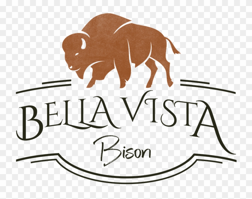 Bella Vista Bison Logo - Logo Bison Clipart #4043920