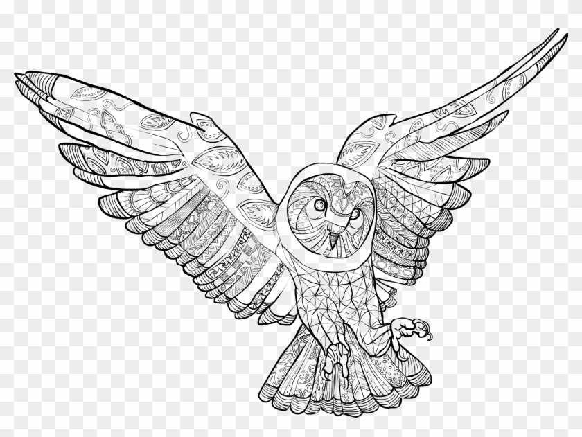 Coloring Posters - Сова В Полете Рисунок Clipart