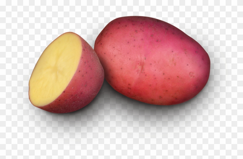 Labella Potato - Ataulfo Clipart #4045018