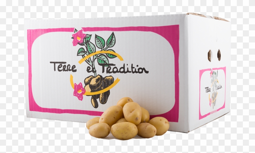 The Company Is Specialized In The Trading And Packaging - Olive Clipart #4045066