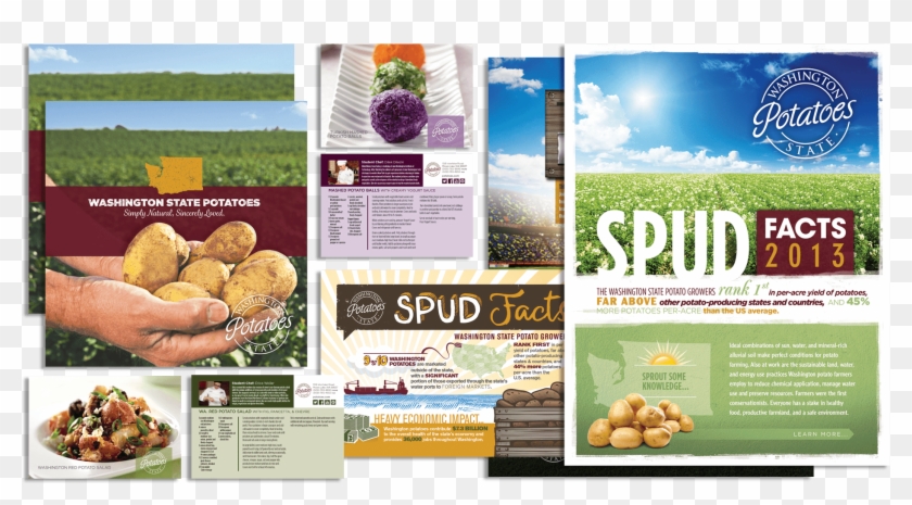 Delivering Dynamic Print Collateral - Flyer Clipart