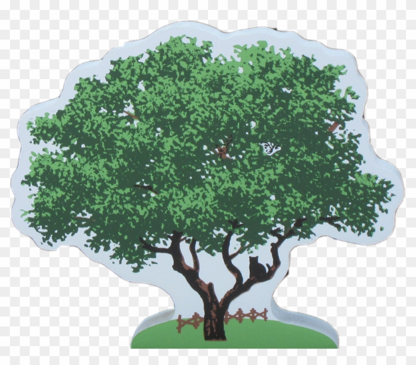 Live Oak Tree Clipart #4045212