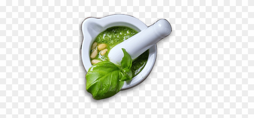 Cooking Tips And Techniques Are Passed Down From Generation - Basil Clipart