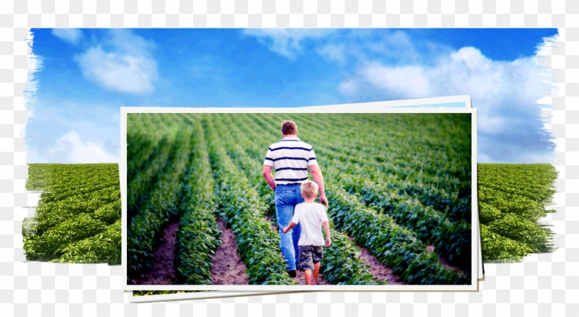 Simply Smarter Products - Field Clipart #4045408