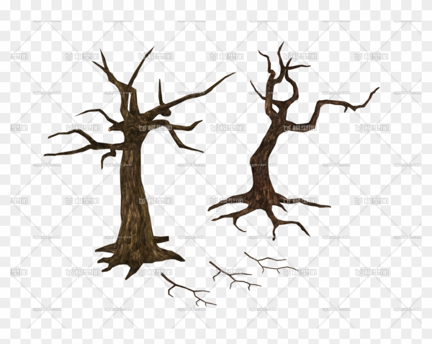 California Live Oak (1280x960) - Wood Clipart #4045501