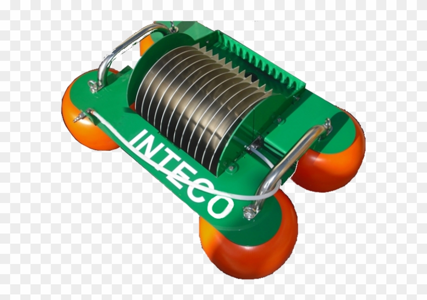 Skimmers Skimmer De Discos - Jumping Clipart