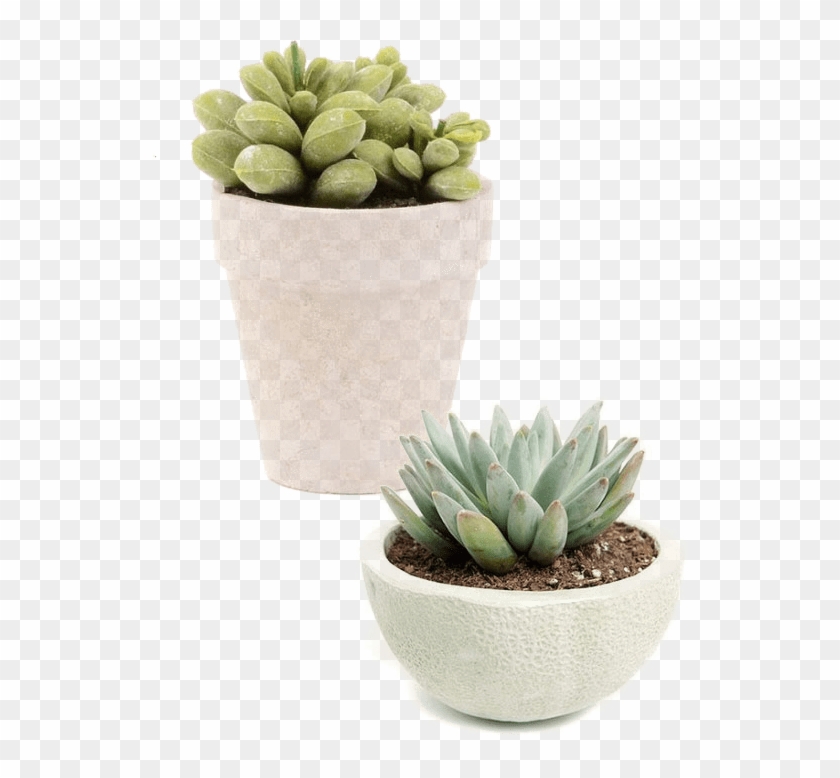 Excellent Services - Niche Meme Pngs Clipart