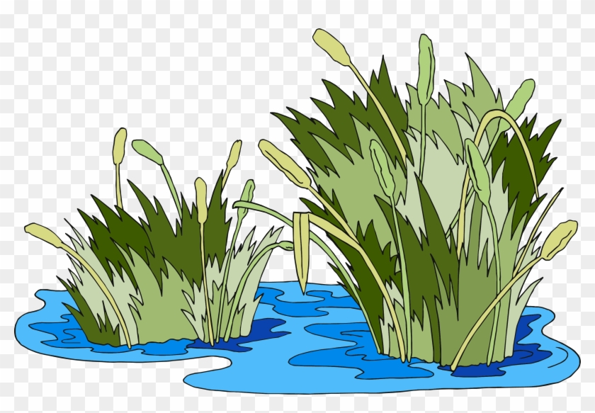 Swamp Vector Marsh Grass - Pantano Png Clipart