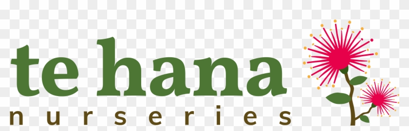 Graphic Design Clipart