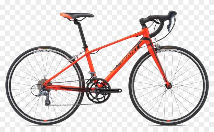 Alquiler De Bicicletas De Carretera Para Ni241os Bike - Giant Tcr Espoir 24 Clipart