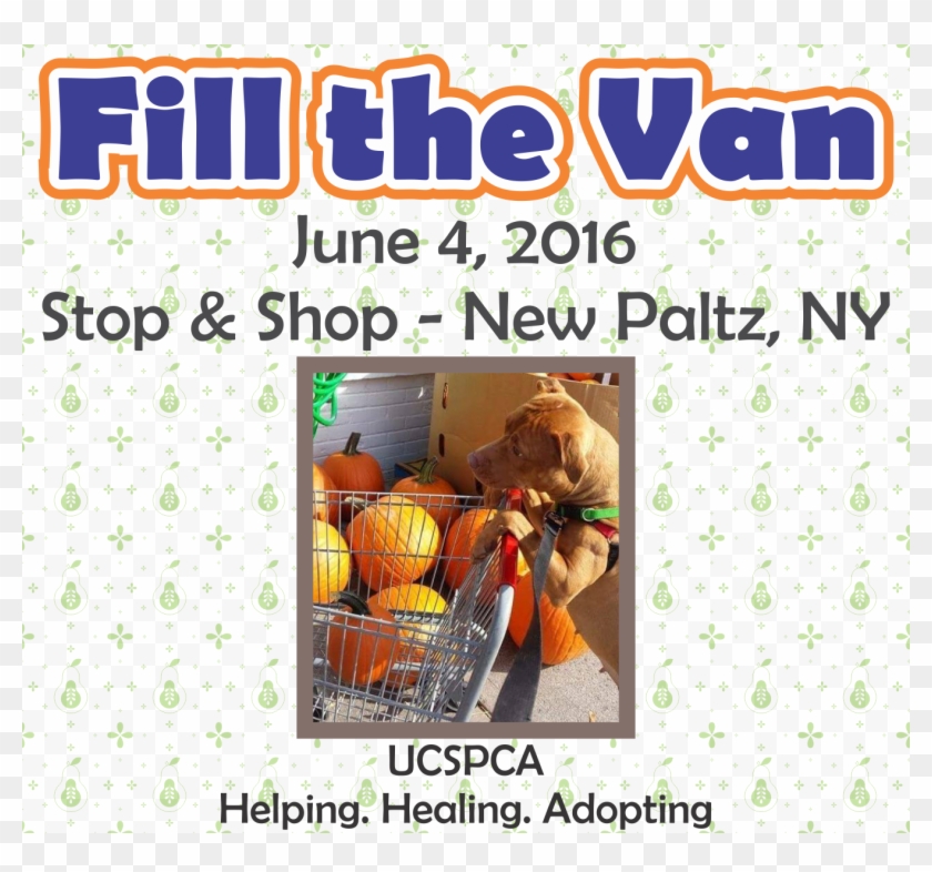 Putt Fore Paws Logo - Pumpkin Clipart