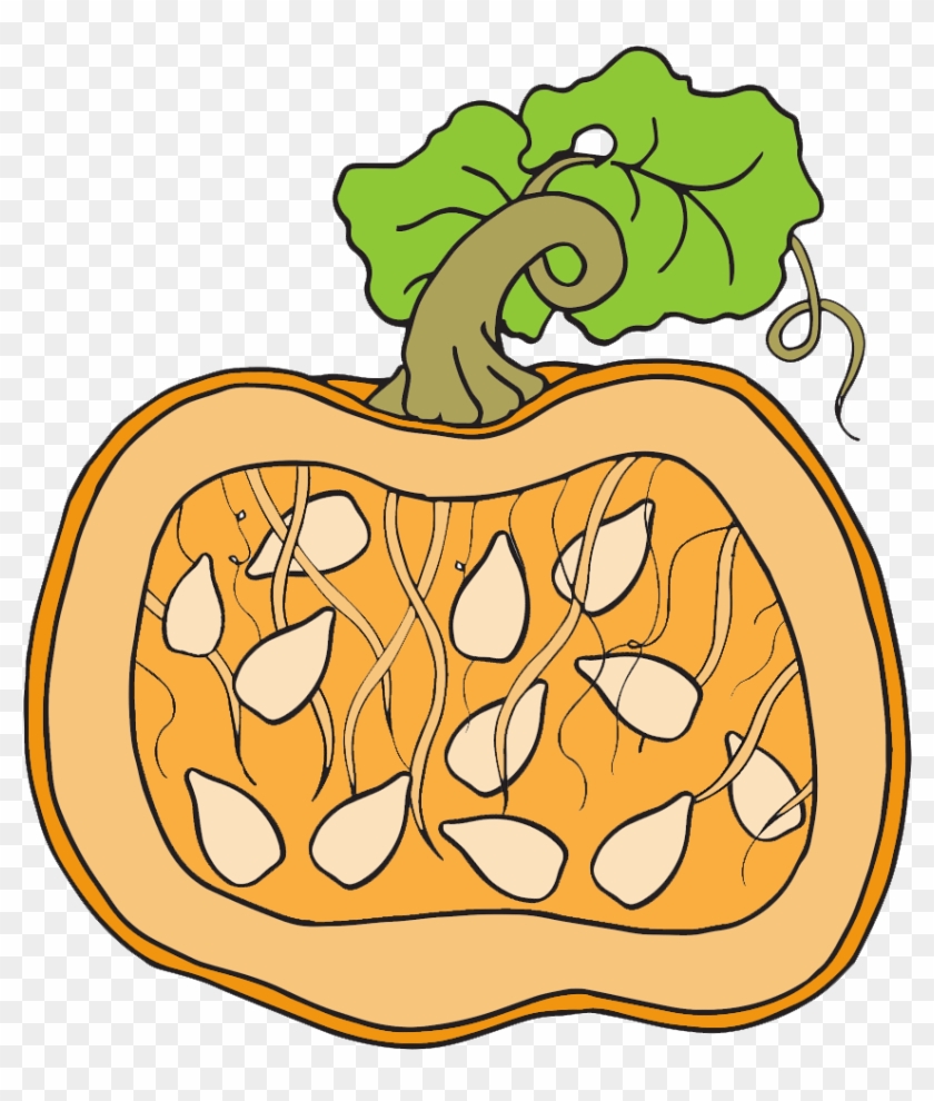 Pumpkin Clipart - Homeschool Clipart - Coloring Book - Png Download