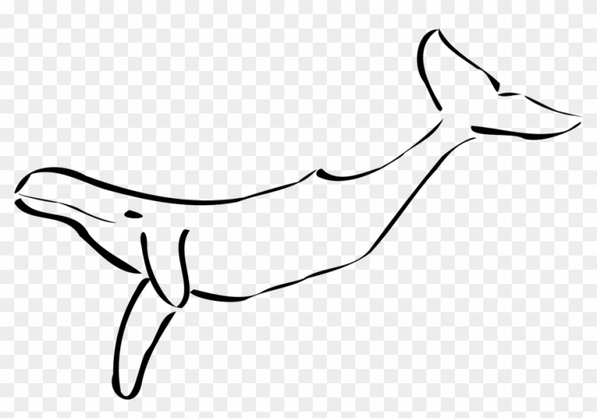 Humpback Whale Tail Sea Mammal Ocean Swimming - Whales Black And White Clipart #4053539