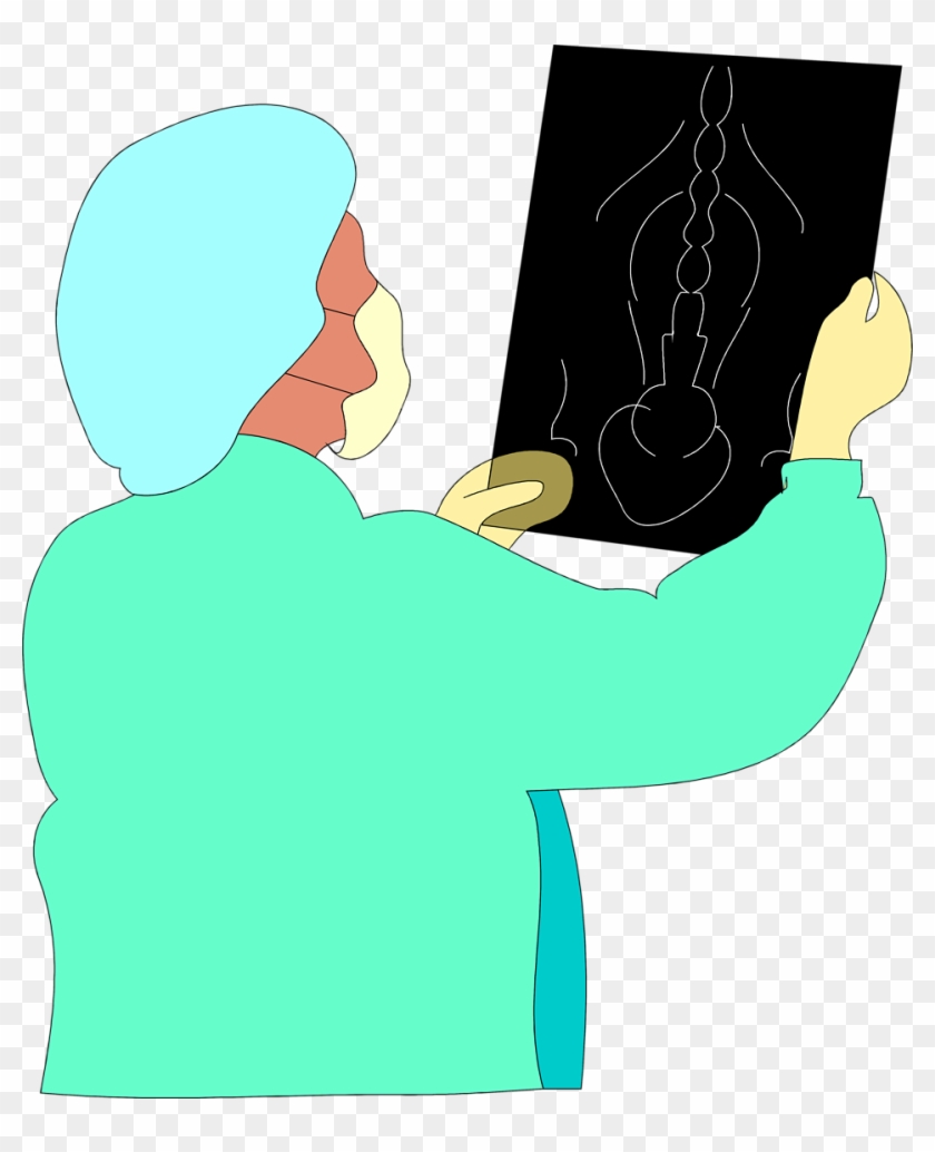 X Ray Clipart Beluga Whale - X Ray With Transparent Background - Png Download