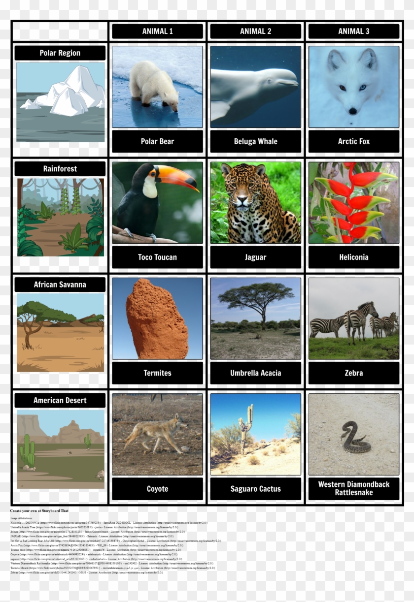 Animal Habitats - Adaptation Of Animals In Different Habitats Collage Clipart #4054380
