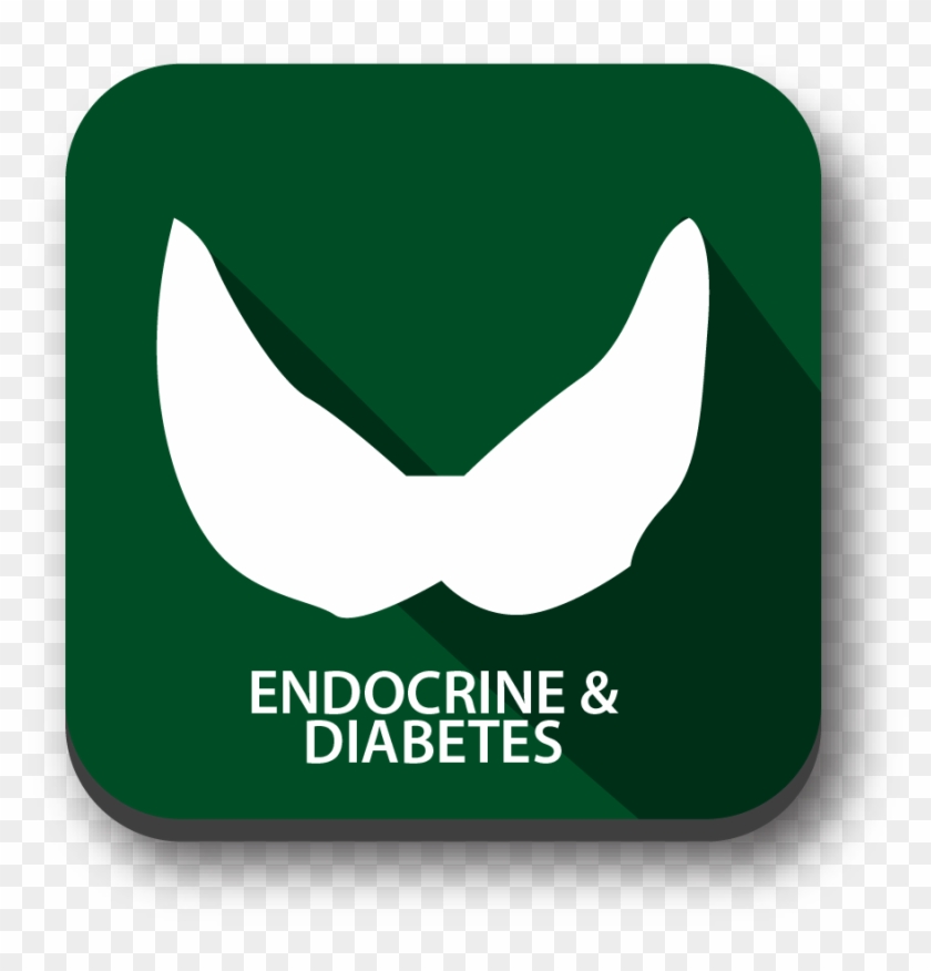 Clip Art - Png Download