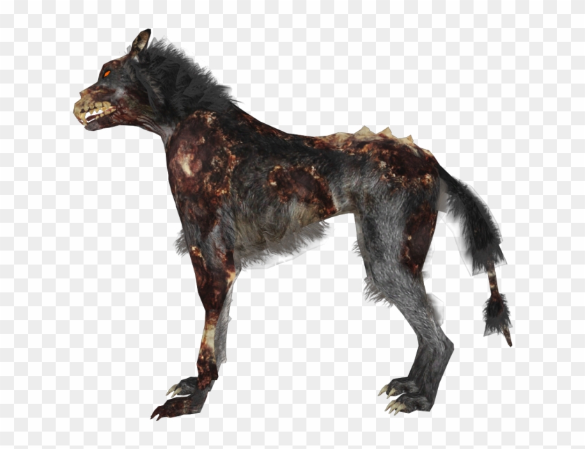 Photo Zombie Wolf Zpsaf323d7a Companion Dog Clipart 4054913 Pikpng