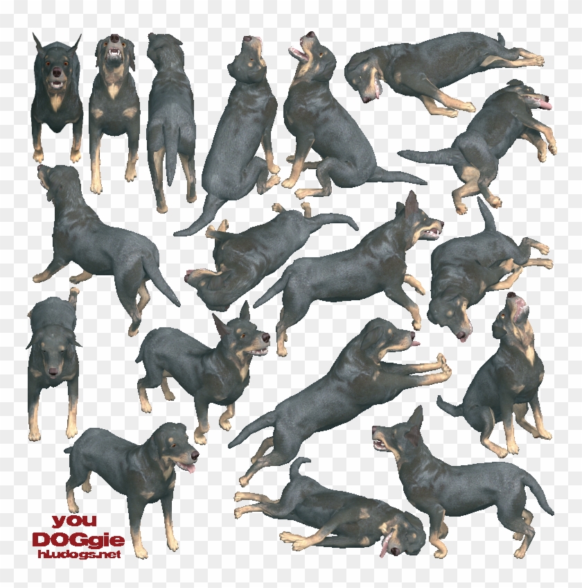Ptudog - Dobermann Clipart #4055389