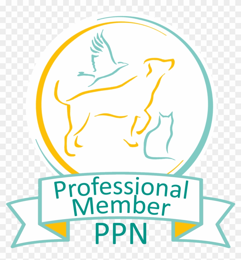 Pet Professional Network Clipart #4057322