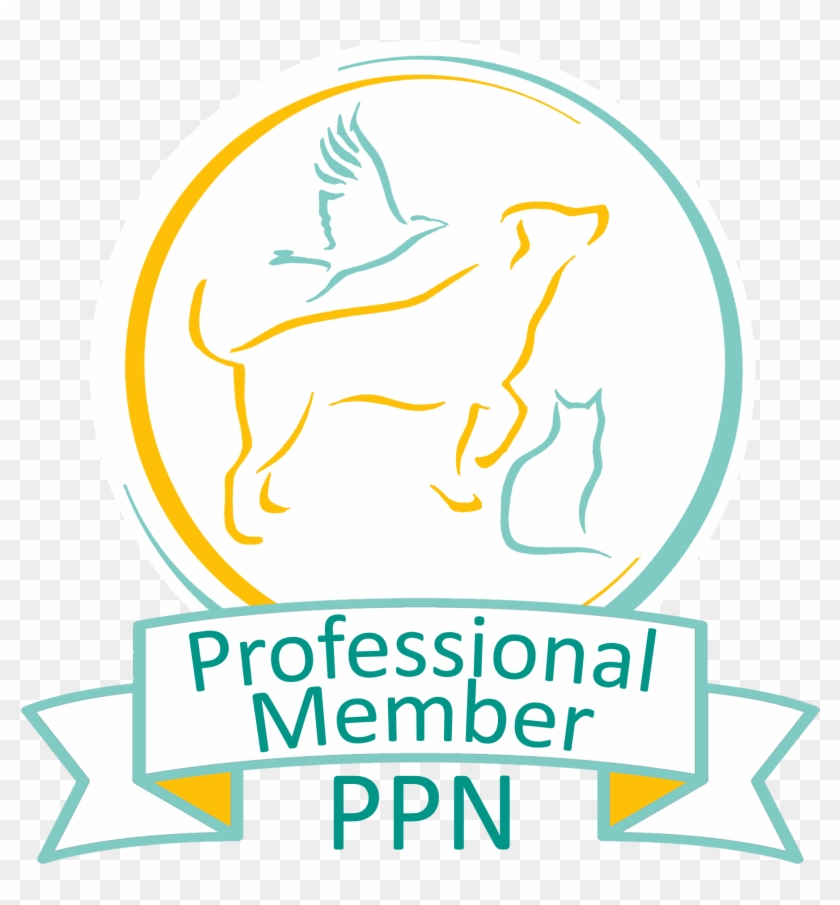 Pet Professional Network Clipart