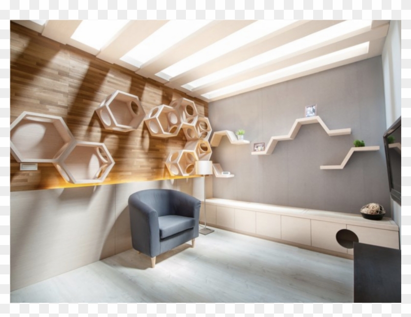 Busy Cat Wall Mounted Cat Perch And System - Myzoo Clipart