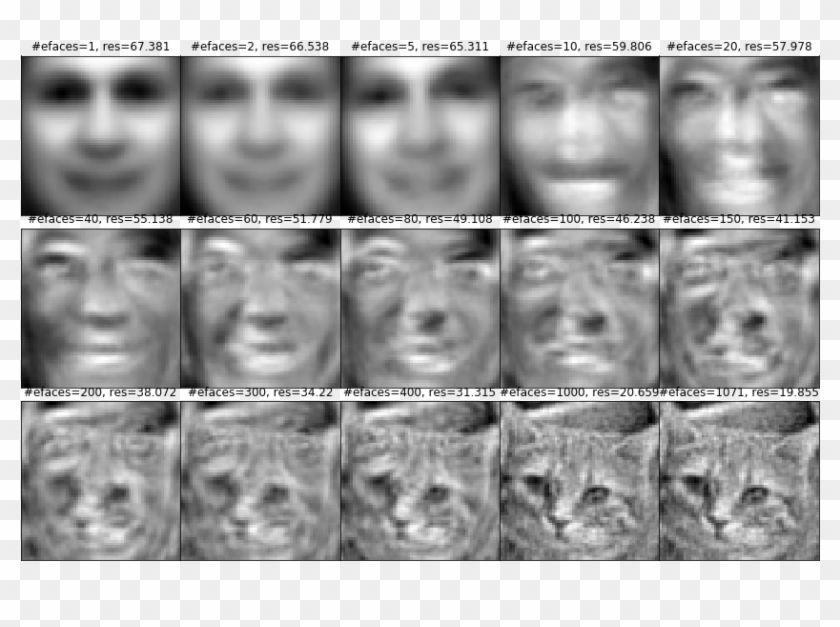 Face Detection - Pca Images Python Faces Clipart #4060620
