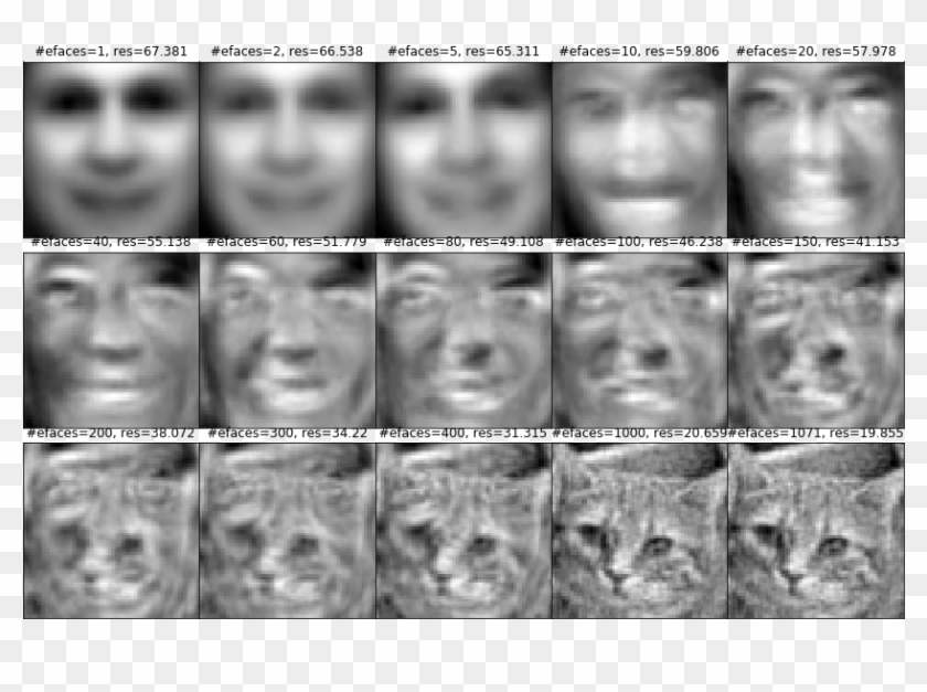 Face Detection - Pca Images Python Faces Clipart