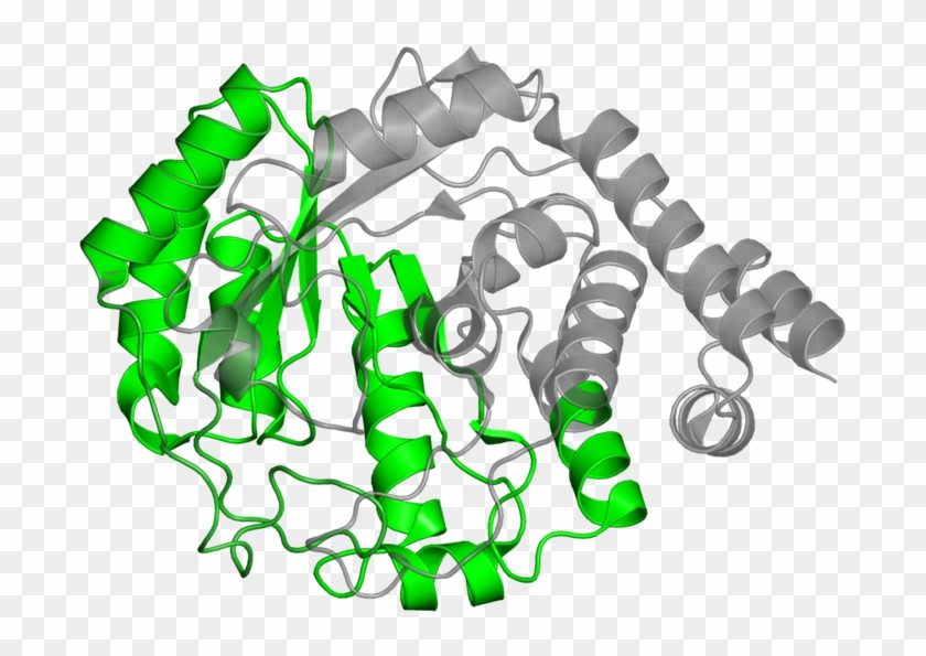 Illustration Clipart #4060675