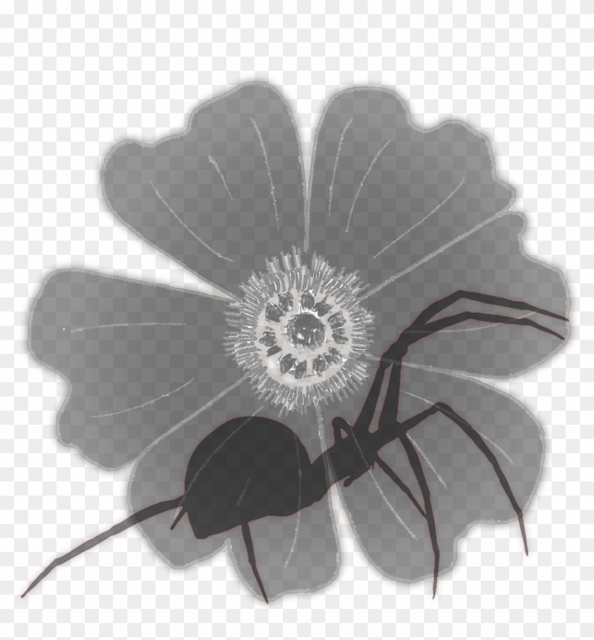 Send Me Dead Flowers Every Morning The Endless Forest - Insect Clipart