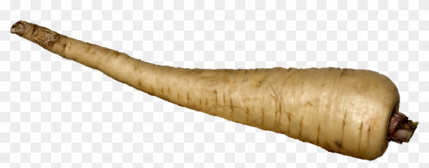 Download Similars - Parsnip Clipart - Png Download #4061364