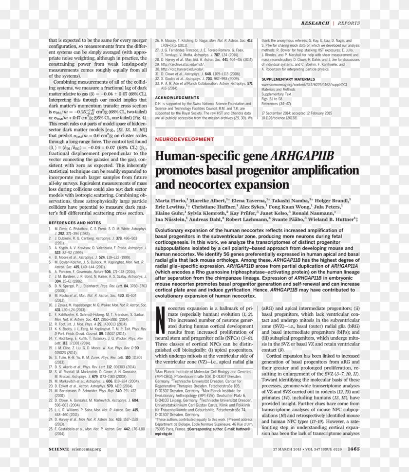 Back Issues - Borealis - Partitur - J. Beuys. Gallery Jan Wagner, Clipart #4062457