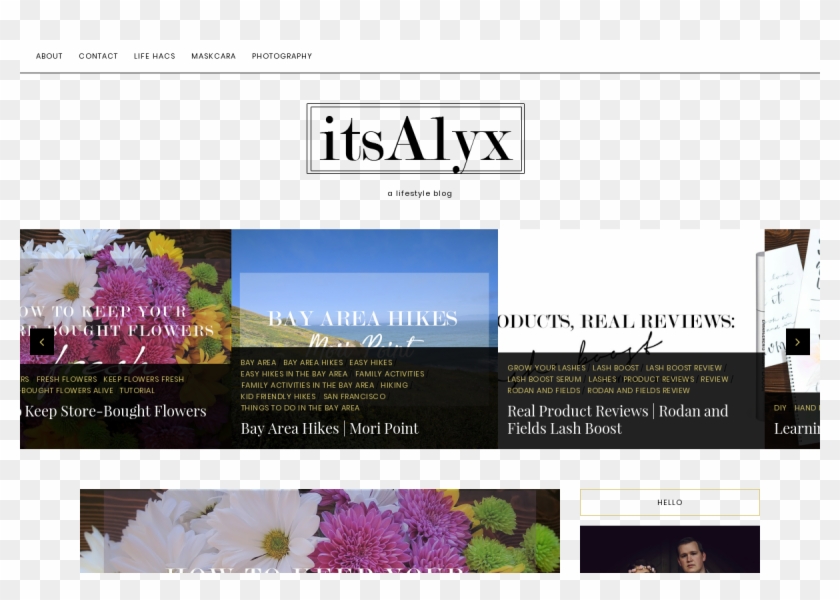 Every Day Is A New Adventure, American In Germany Blog, - Chrysanths Clipart #4063741