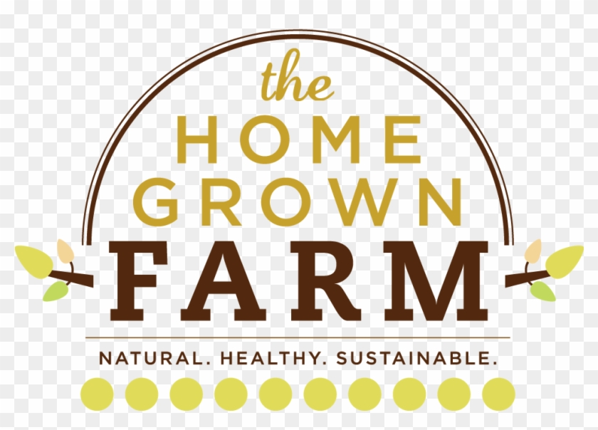 Clip Art - Png Download #4064638