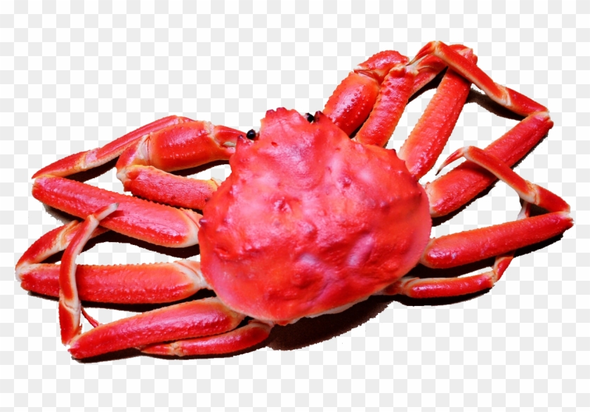 Vector Library Library Seafood Clipart Crab Meat - ず から 始まる 言葉 - Png Download