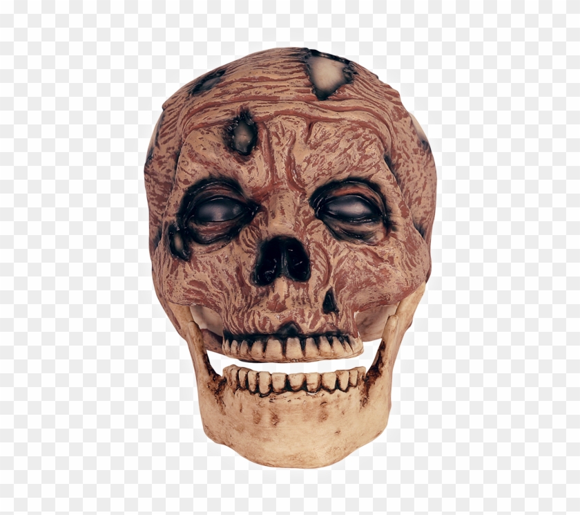 Zombie Head Png - Skull Clipart #4066588