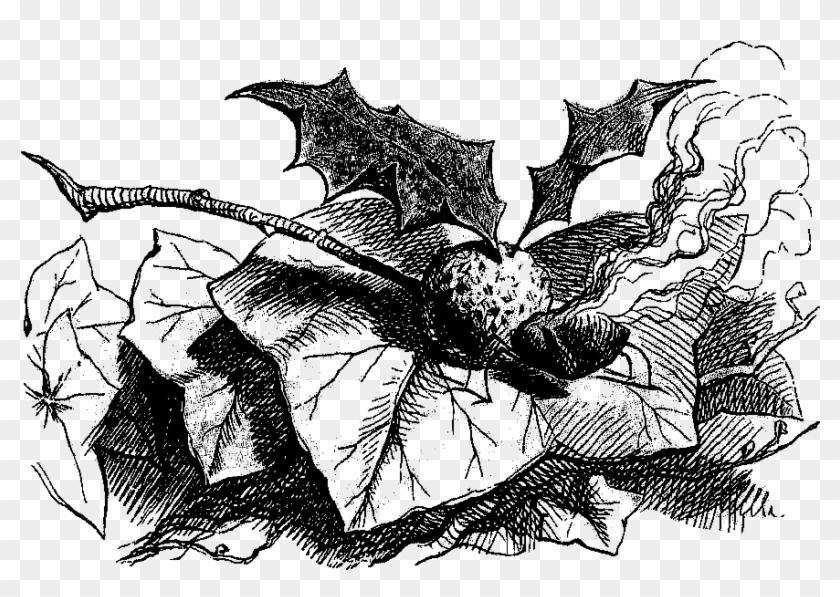 This Is A Whimsical Alice In Wonderland Digital Stamp - Gnat Through The Looking Glass Clipart #4068662