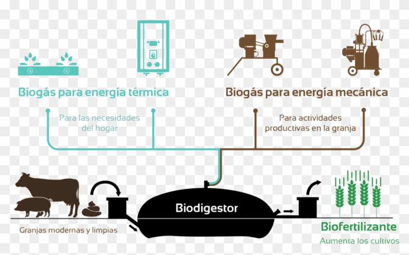 Los Beneficios De Un Biodigestor Sistema Biobolsa - Sistema Biobolsa Clipart #4070323