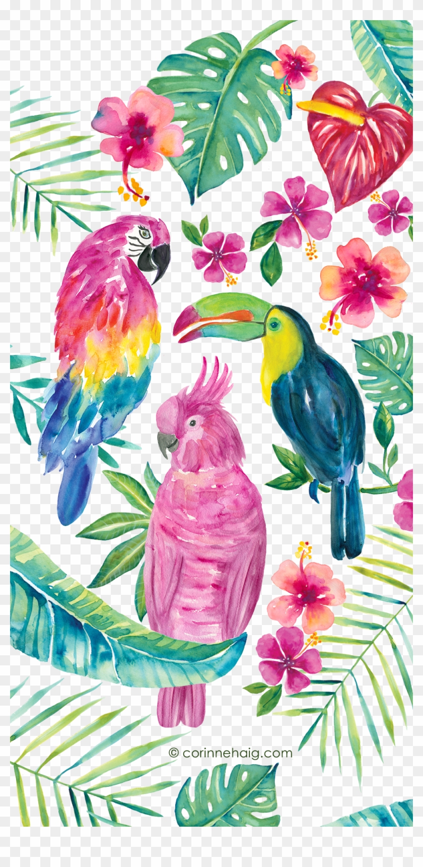 #casetify #art #design #drawing #color #flowers #animals - Piciformes Clipart