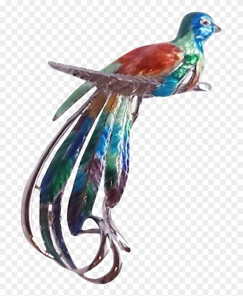 Large Enameled Sterling Silver Rhodium Plated Tropical - Ring-necked Pheasant Clipart #4071205