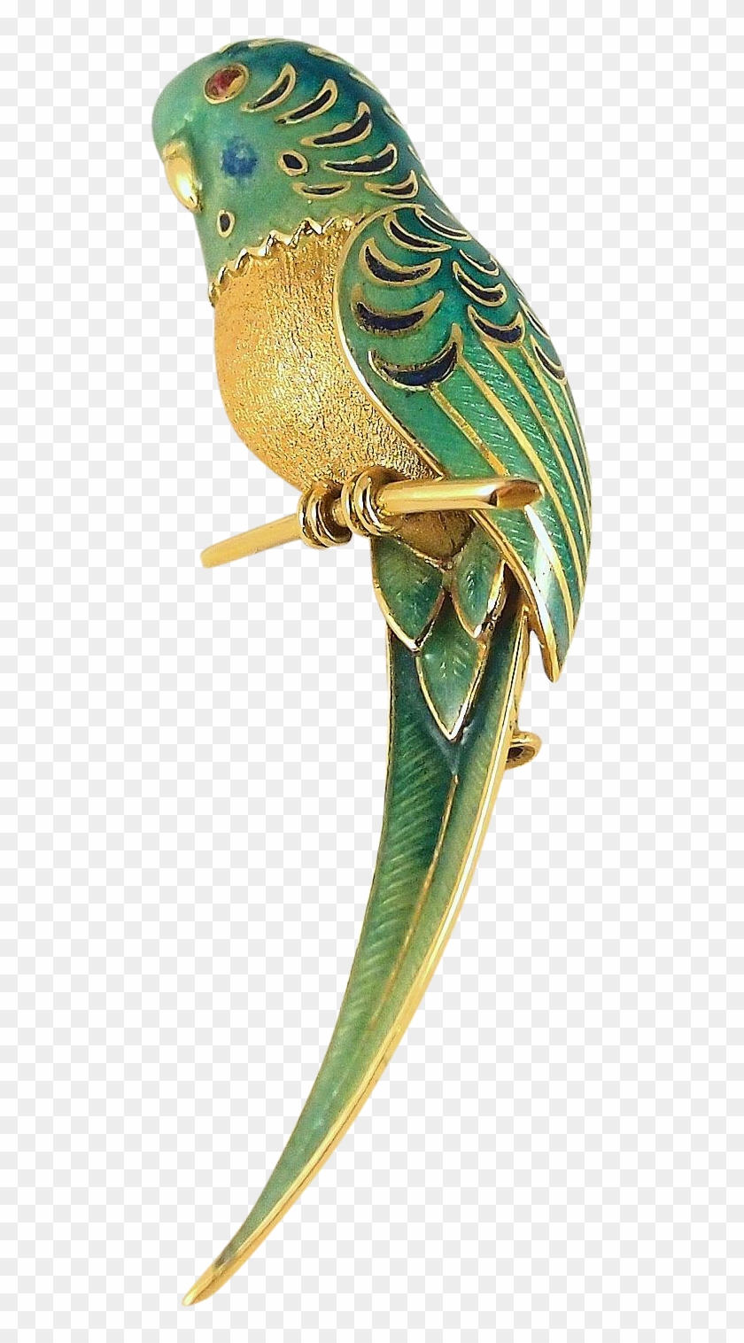 #birdofinstagram Three Dimensional #parrot Brooch In - Budgie Clipart