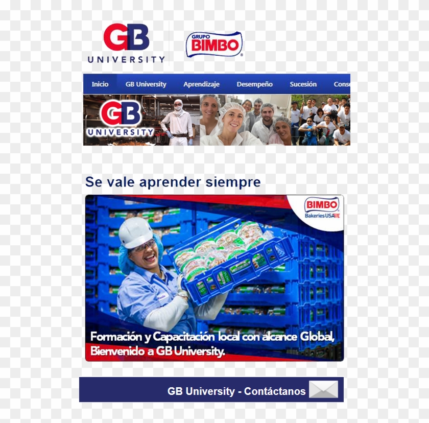 Training And Development - Grupo Bimbo University Clipart