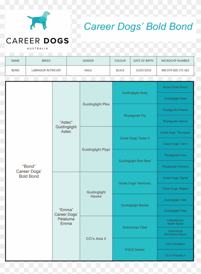 Bond Pedigree Career Dogs' Bold Bond Clipart