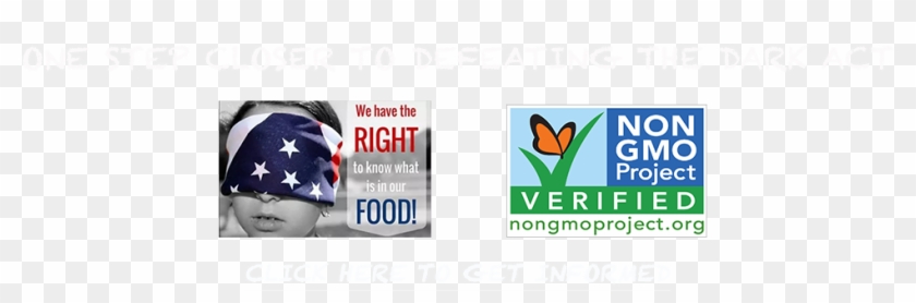 Flag Of The United States Clipart