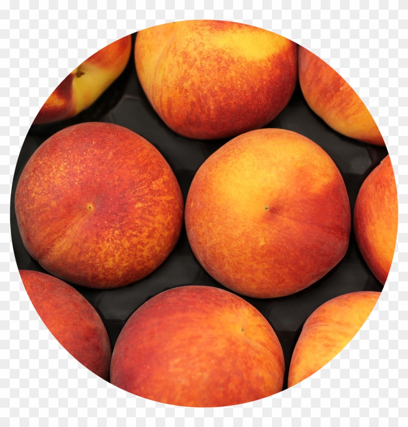 Purcell International Can Supply A Variety Of Shelf - Us Peaches Clipart #4073289