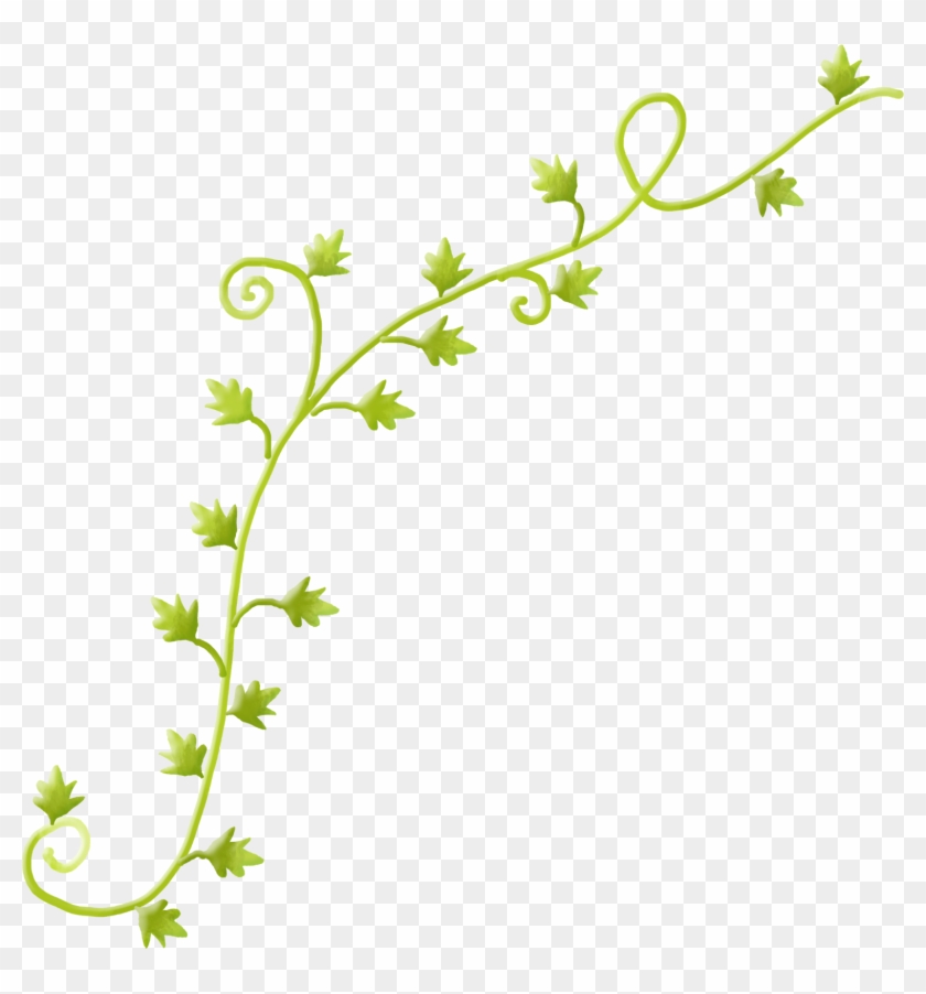Enredadera Verde Png - Enredadera Png Clipart